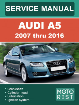 Audi A5 2007 thru 2016, service e-manual