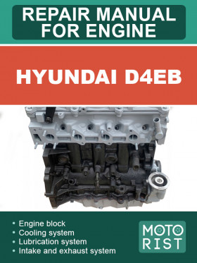 Посібник з ремонту двигунів Hyundai D4EB у форматі PDF (англійською мовою)