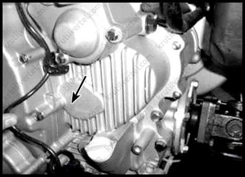 теххарактеристики Baltmotors ATV500 с 2007 года, теххарактеристики Балтмоторс АТВ500 с 2007 года