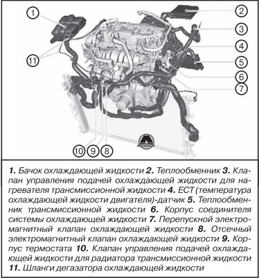 Система охлаждения форд транзит