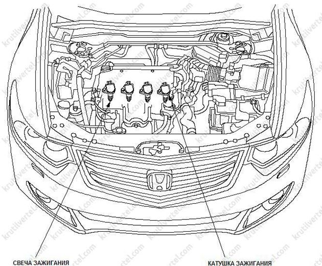 общие сведения Honda Accord с 2008 года, общие сведения Acura TSX с 2008 года, общие сведения Хонда Аккорд с 2008 года, общие сведения Акура ТСХ с 2008 года