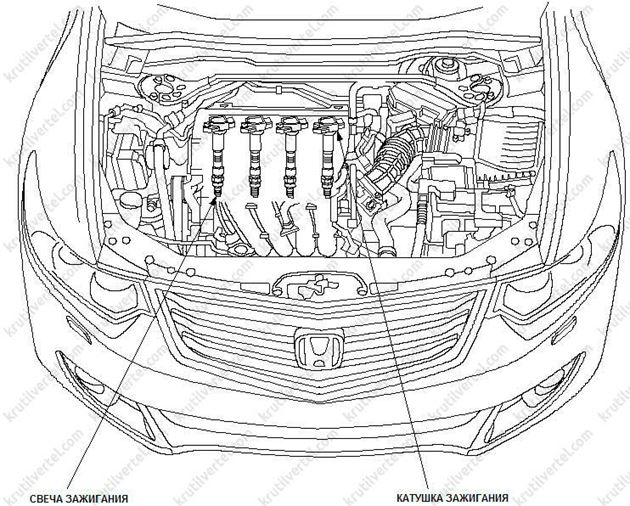 общие сведения Honda Accord с 2008 года, общие сведения Acura TSX с 2008 года, общие сведения Хонда Аккорд с 2008 года, общие сведения Акура ТСХ с 2008 года
