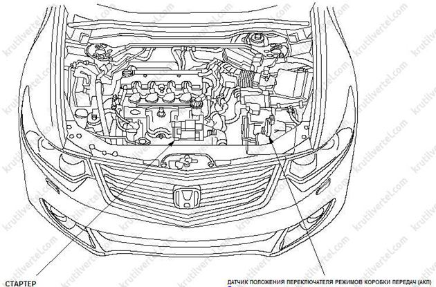 общие сведения Honda Accord с 2008 года, общие сведения Acura TSX с 2008 года, общие сведения Хонда Аккорд с 2008 года, общие сведения Акура ТСХ с 2008 года