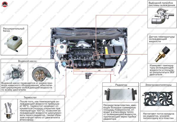 Радиатор охлаждения ssangyong actyon